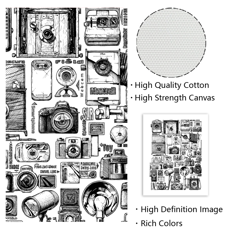 Vintage câmera coleção ilustra - Collectible Vintage Cameras avaliação e preço